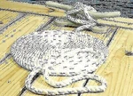 Seachoice Nylon 3 Strand Twisted Dock Line 5/8" X 20 Ft White/blue Tracer. Fixed Price $32.75.